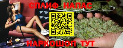 шишки Кинель