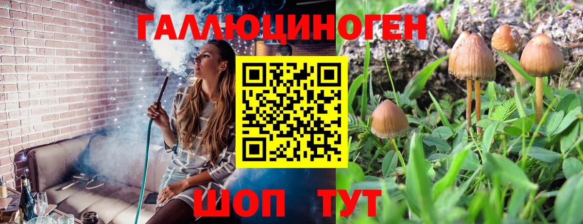 купить закладку  Вход с VPN  Красноярск  Галлюциногенные грибы Psilocybine cubensis  Галлюциногенные грибы GOLDEN TEACHER 