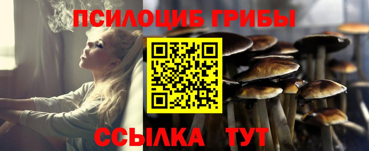 Галлюциногенные грибы мухоморы Красноярск